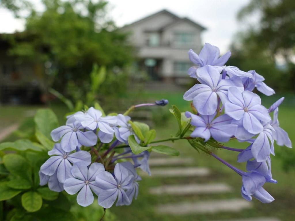 Oliver Tree B&B Fenglin ภายนอก รูปภาพ