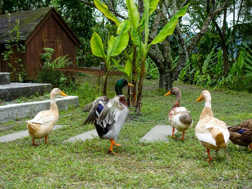 Oliver Tree B&B Fenglin ภายนอก รูปภาพ